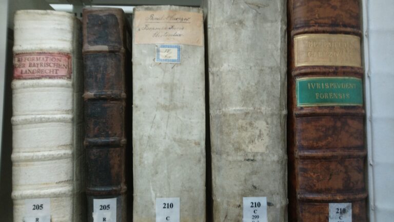 Beitragsbild für Forschungsprofil